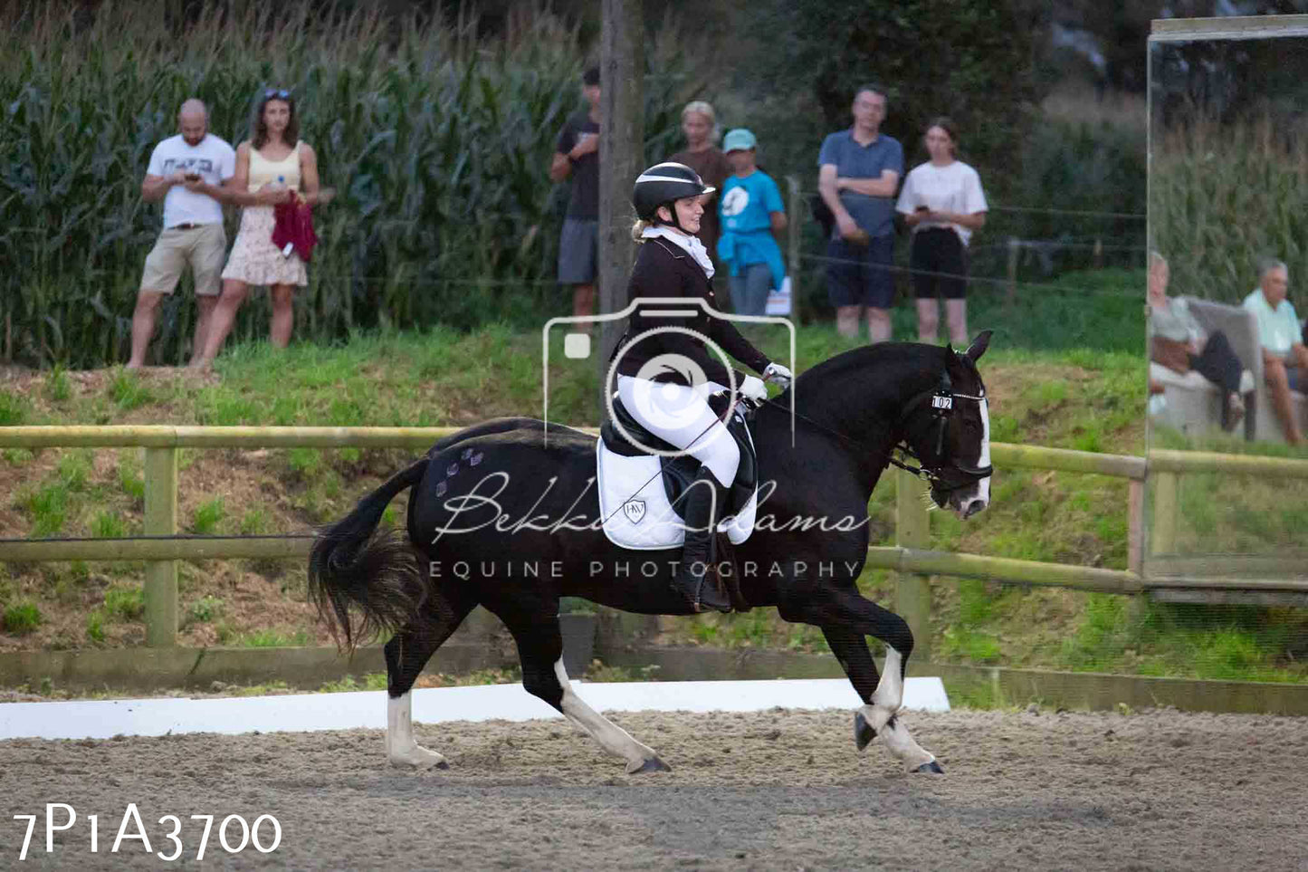 JHOYS 2023 - 8th September - Dressage