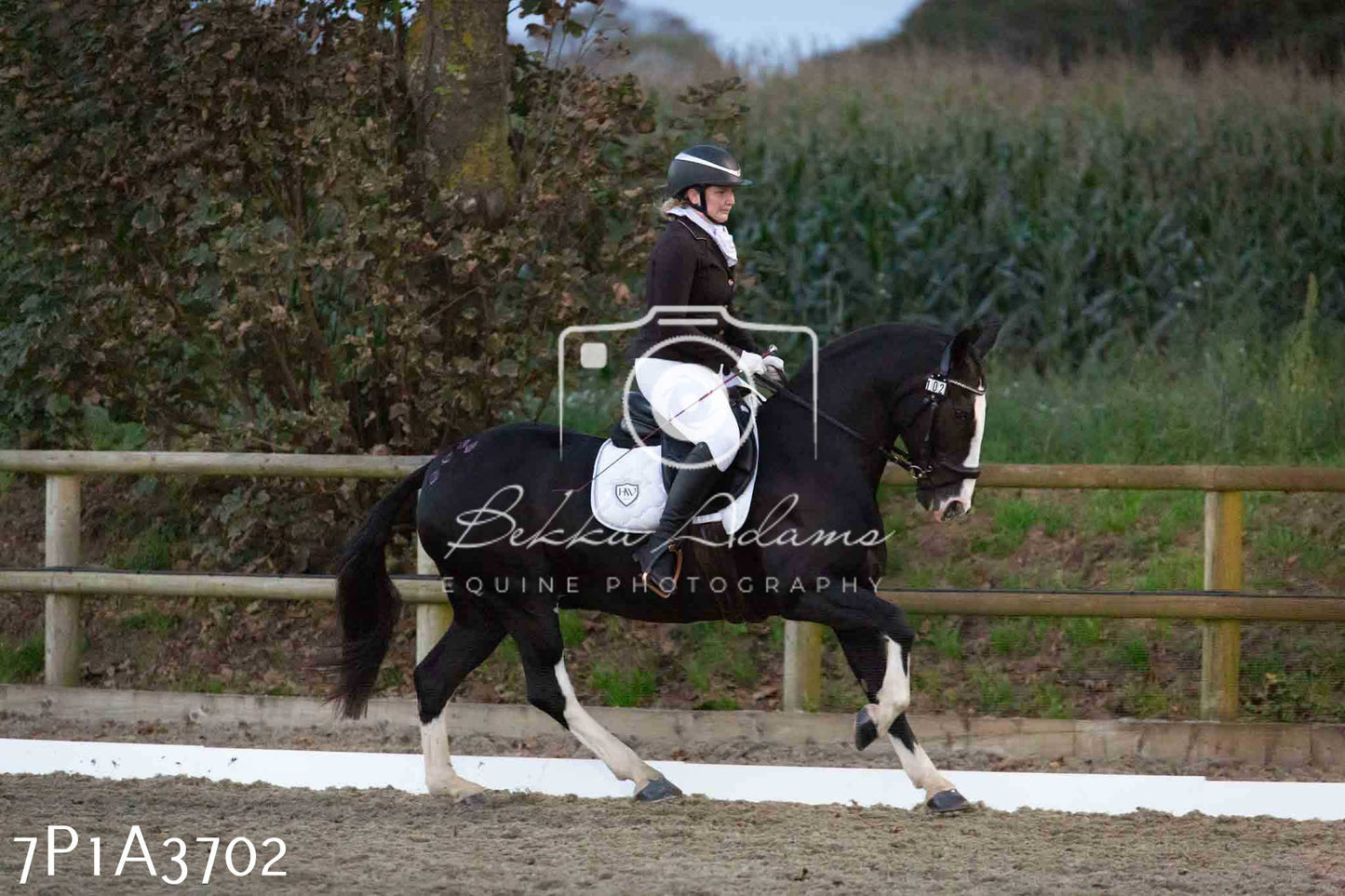 JHOYS 2023 - 8th September - Dressage