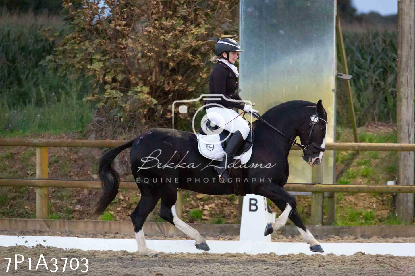 JHOYS 2023 - 8th September - Dressage