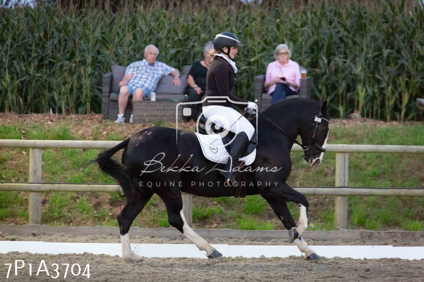 JHOYS 2023 - 8th September - Dressage