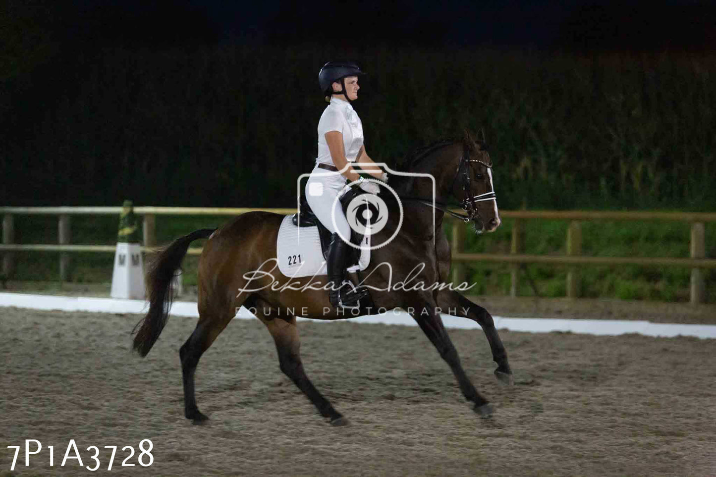 JHOYS 2023 - 8th September - Dressage