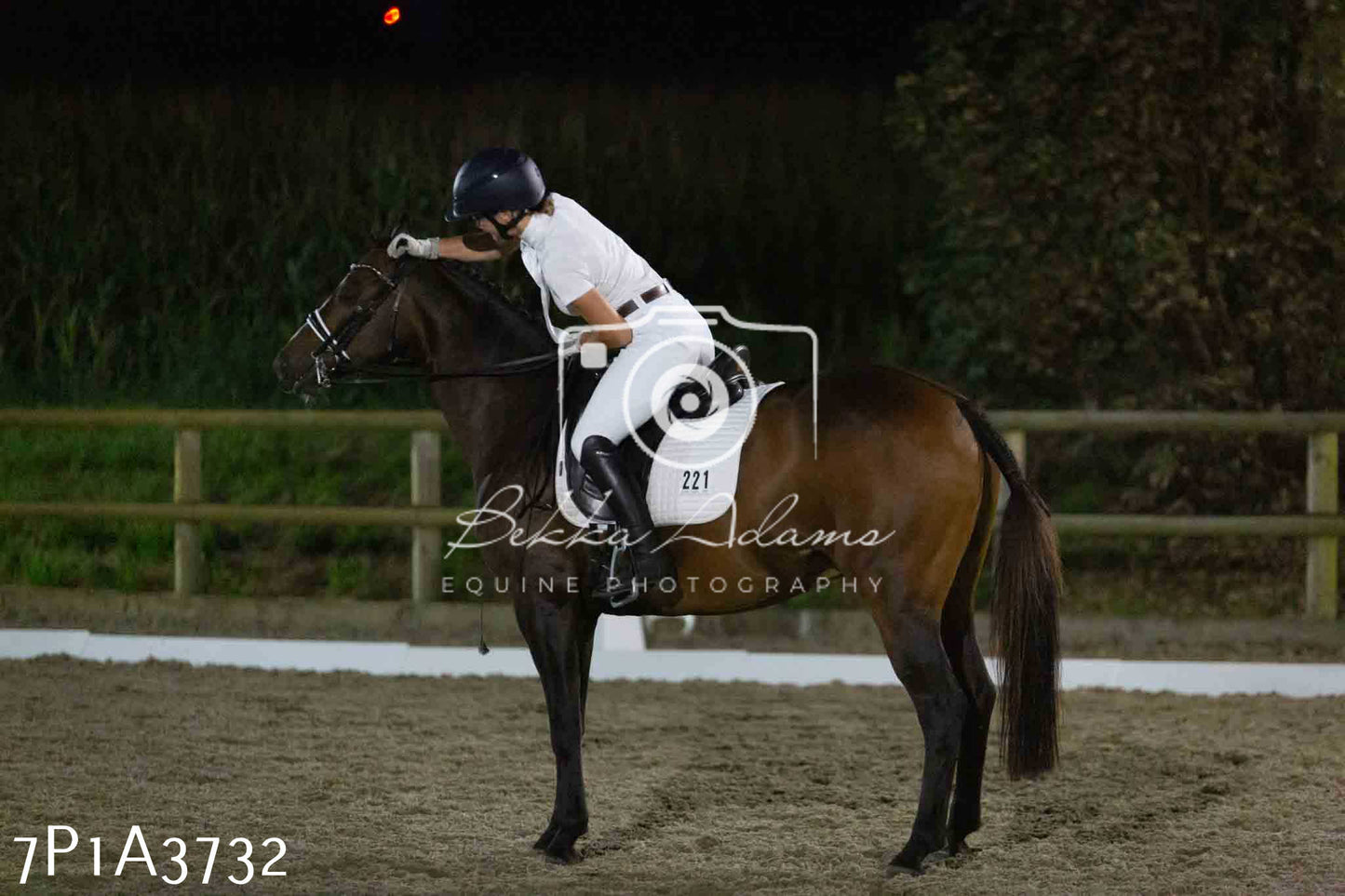 JHOYS 2023 - 8th September - Dressage