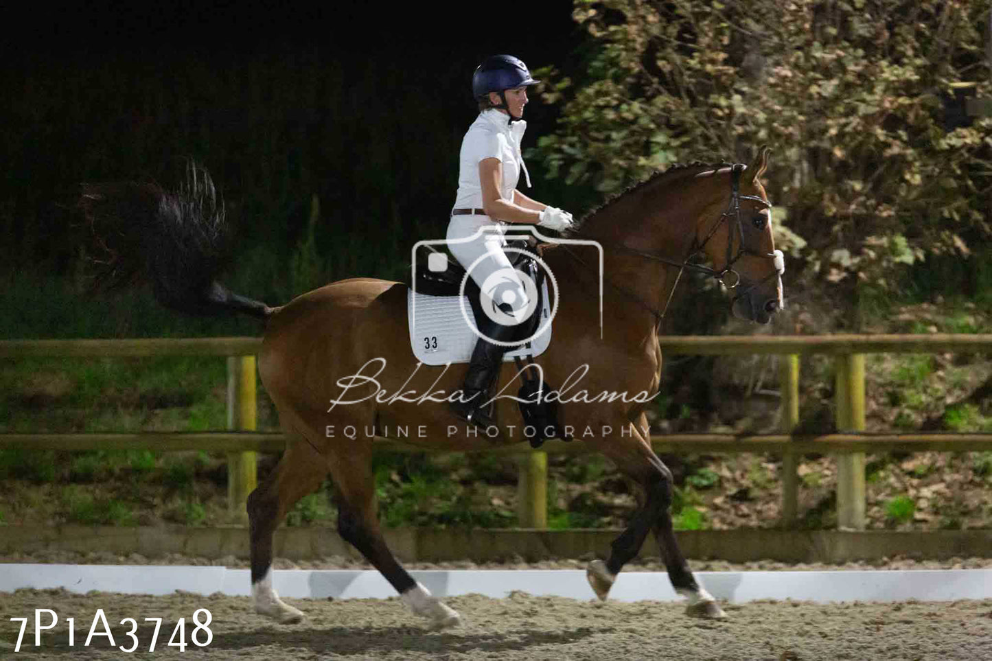 JHOYS 2023 - 8th September - Dressage