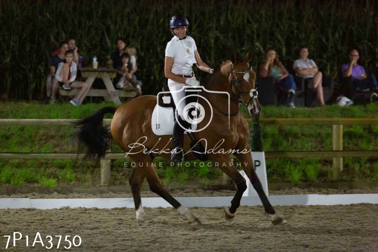 JHOYS 2023 - 8th September - Dressage