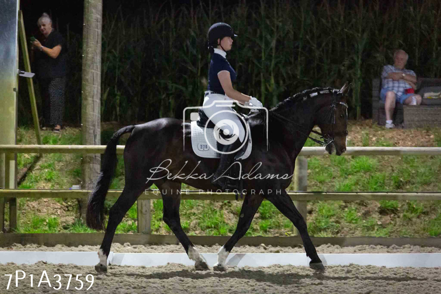 JHOYS 2023 - 8th September - Dressage