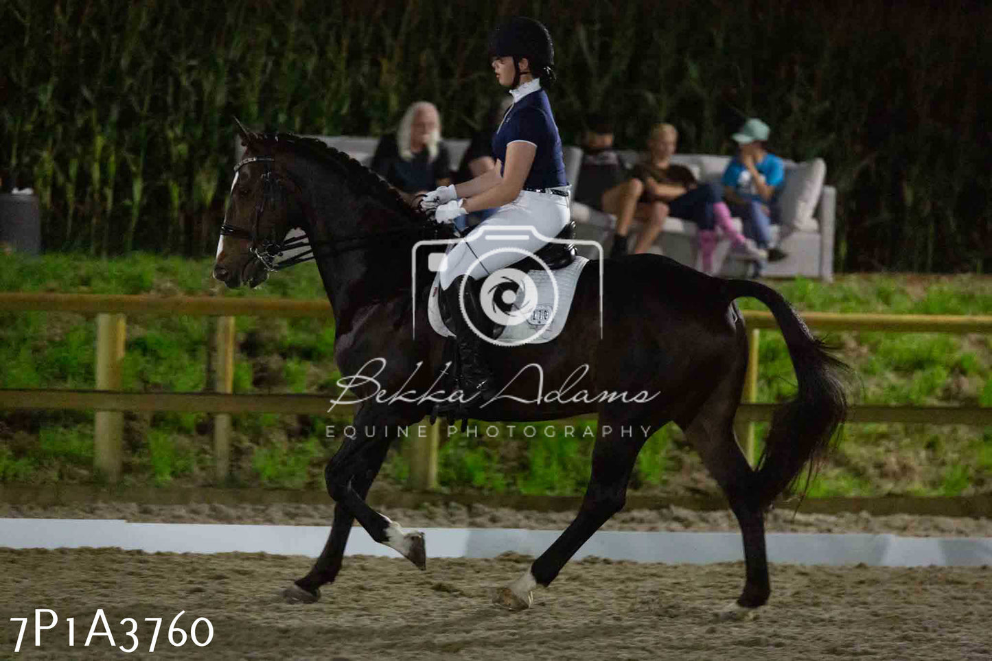 JHOYS 2023 - 8th September - Dressage
