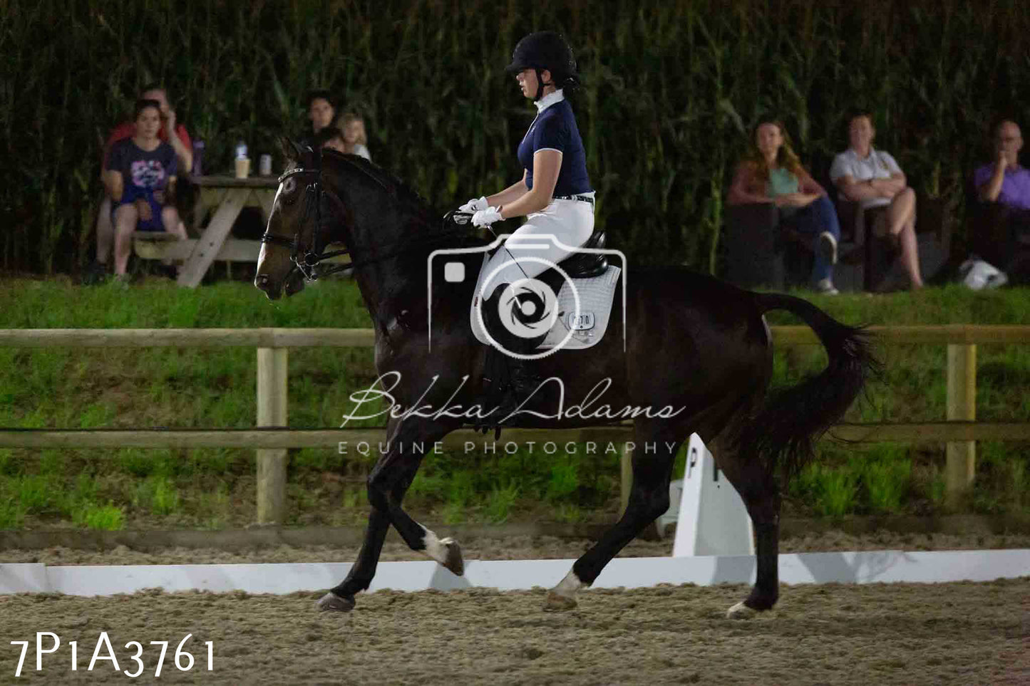 JHOYS 2023 - 8th September - Dressage