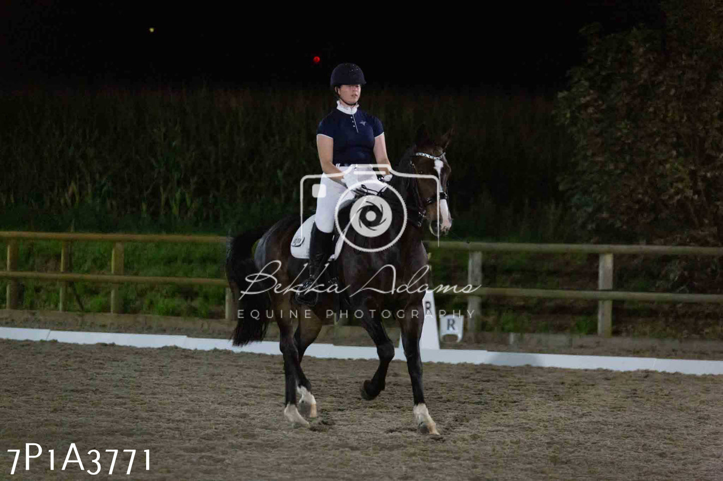 JHOYS 2023 - 8th September - Dressage