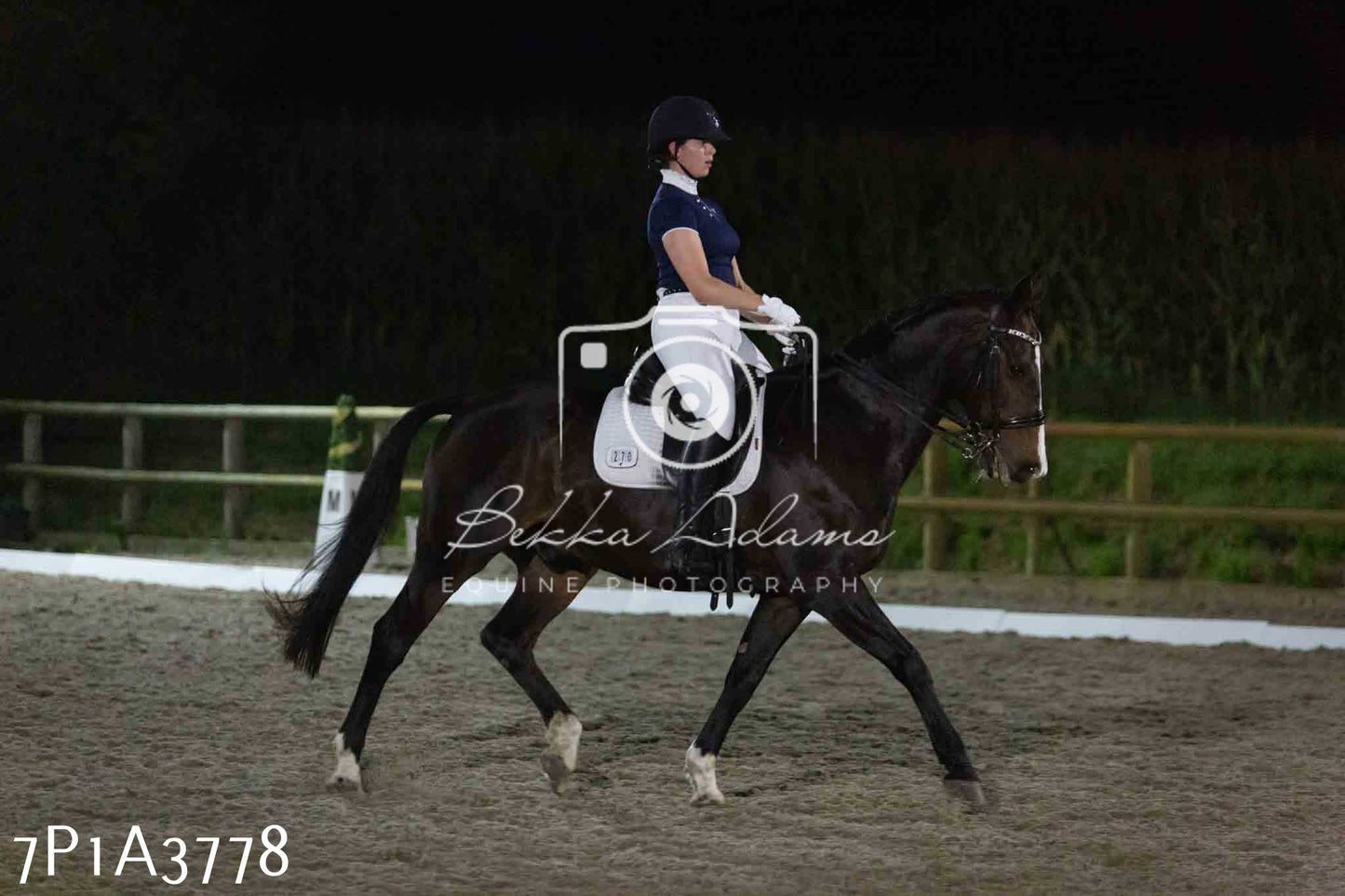JHOYS 2023 - 8th September - Dressage