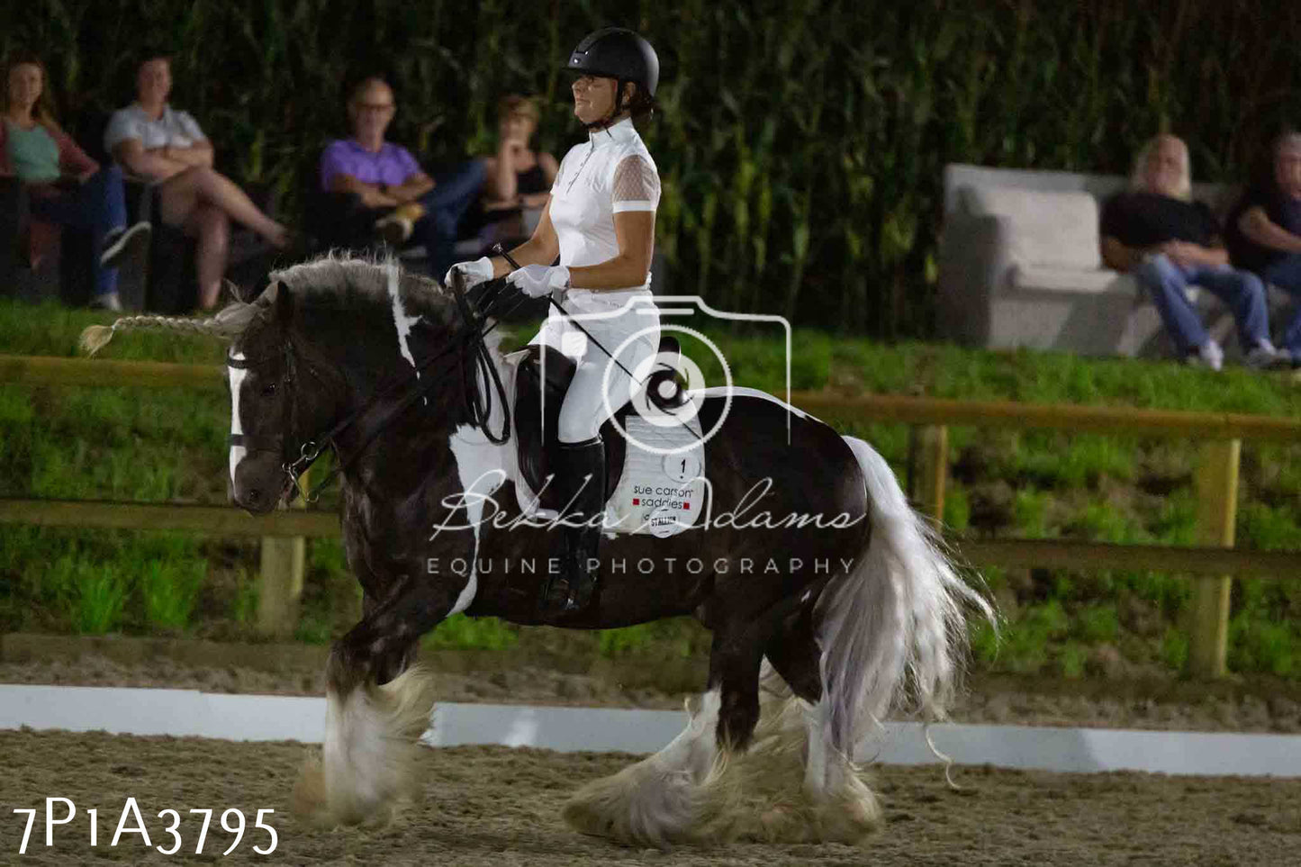 JHOYS 2023 - 8th September - Dressage