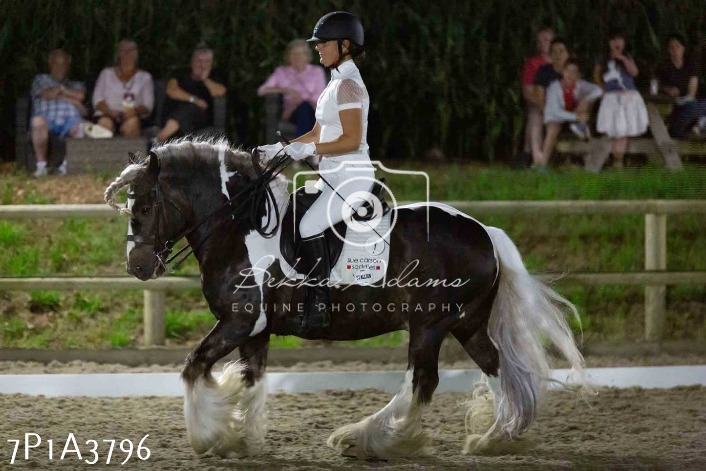 JHOYS 2023 - 8th September - Dressage