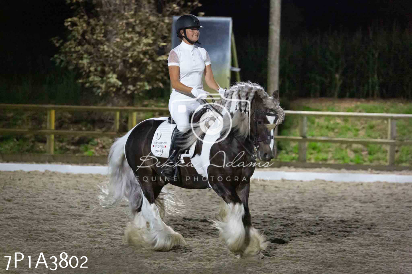 JHOYS 2023 - 8th September - Dressage