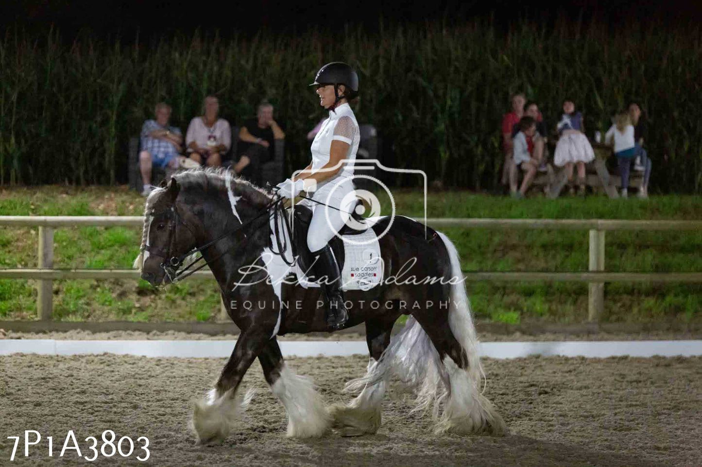 JHOYS 2023 - 8th September - Dressage