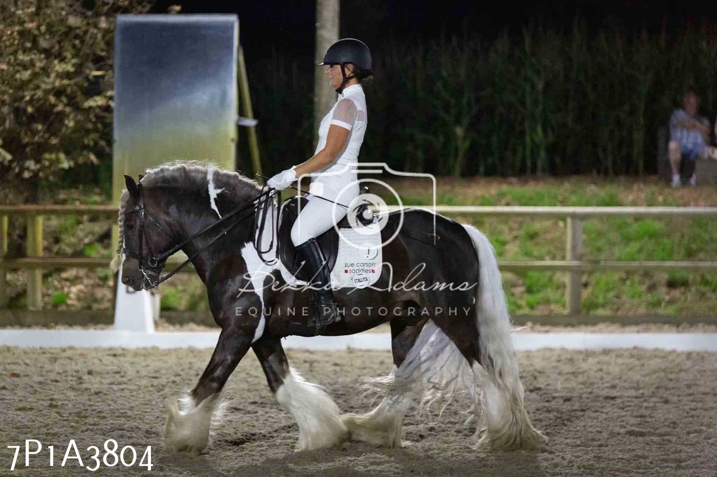 JHOYS 2023 - 8th September - Dressage