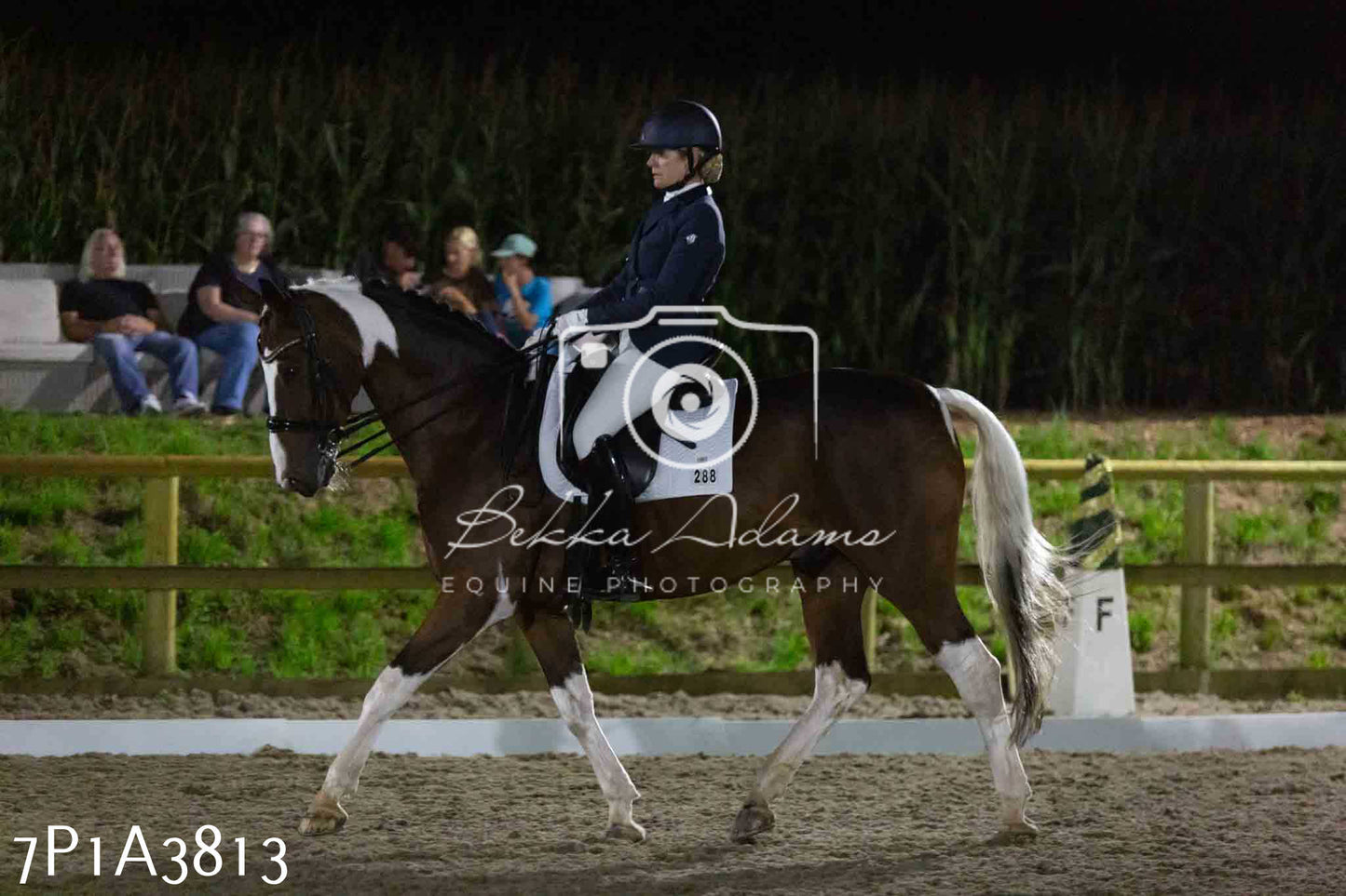 JHOYS 2023 - 8th September - Dressage
