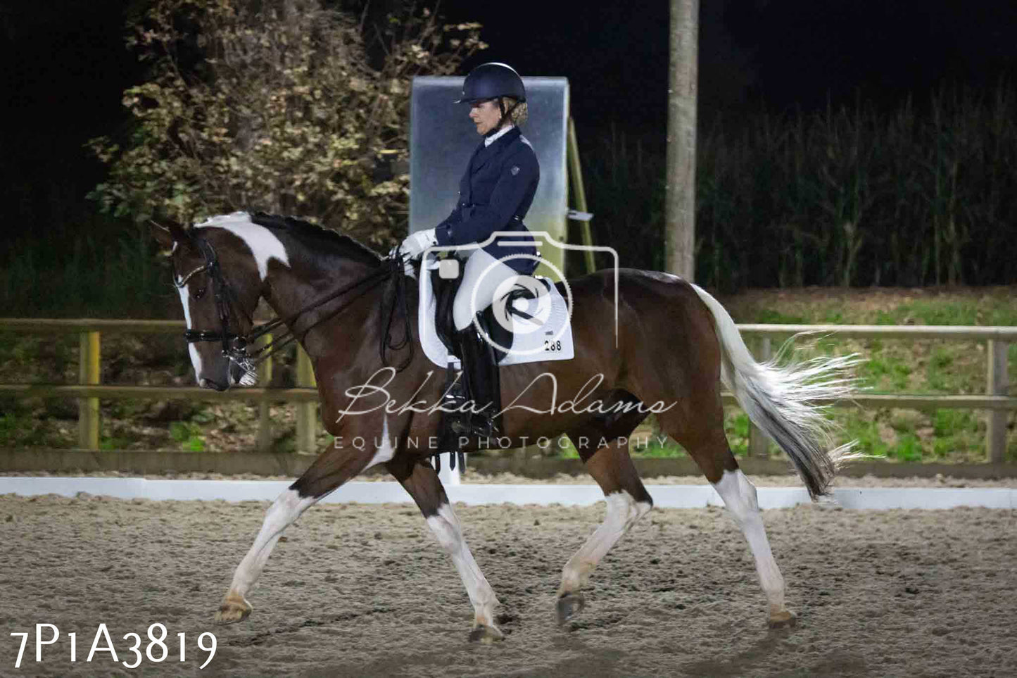 JHOYS 2023 - 8th September - Dressage