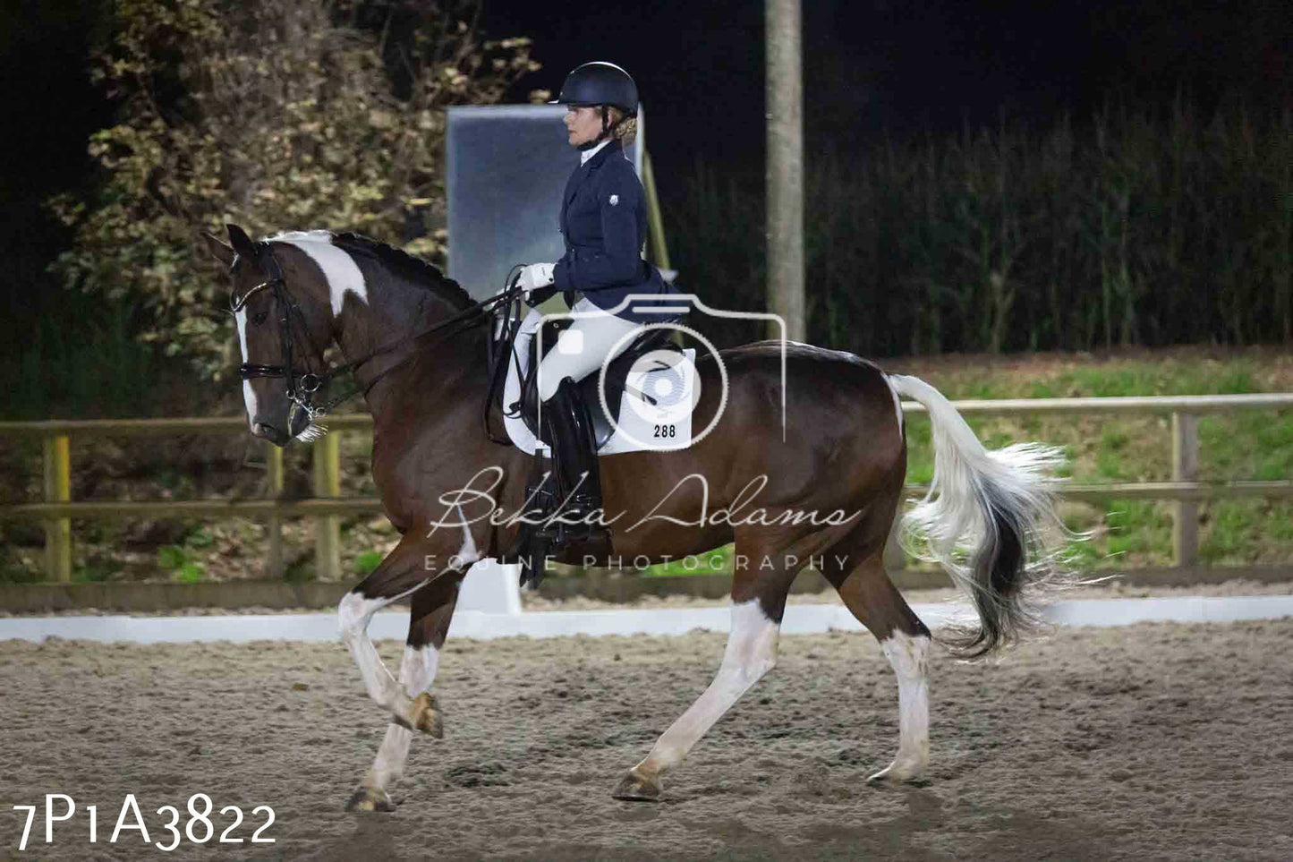 JHOYS 2023 - 8th September - Dressage