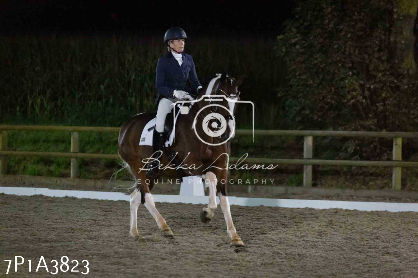 JHOYS 2023 - 8th September - Dressage
