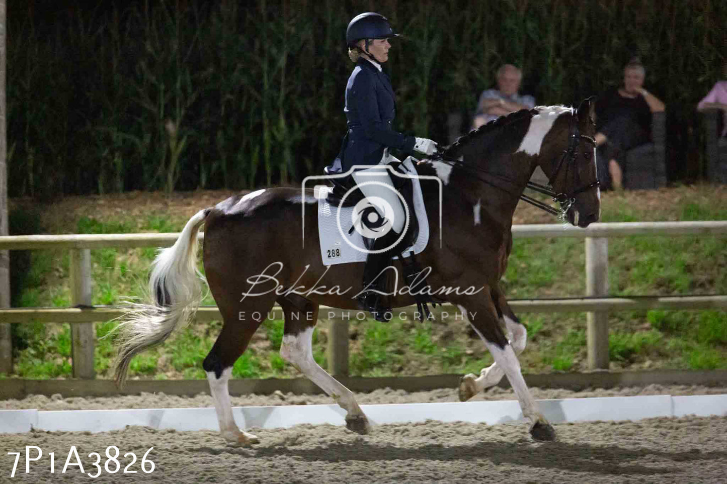 JHOYS 2023 - 8th September - Dressage