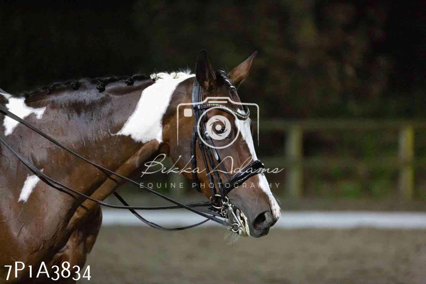 JHOYS 2023 - 8th September - Dressage