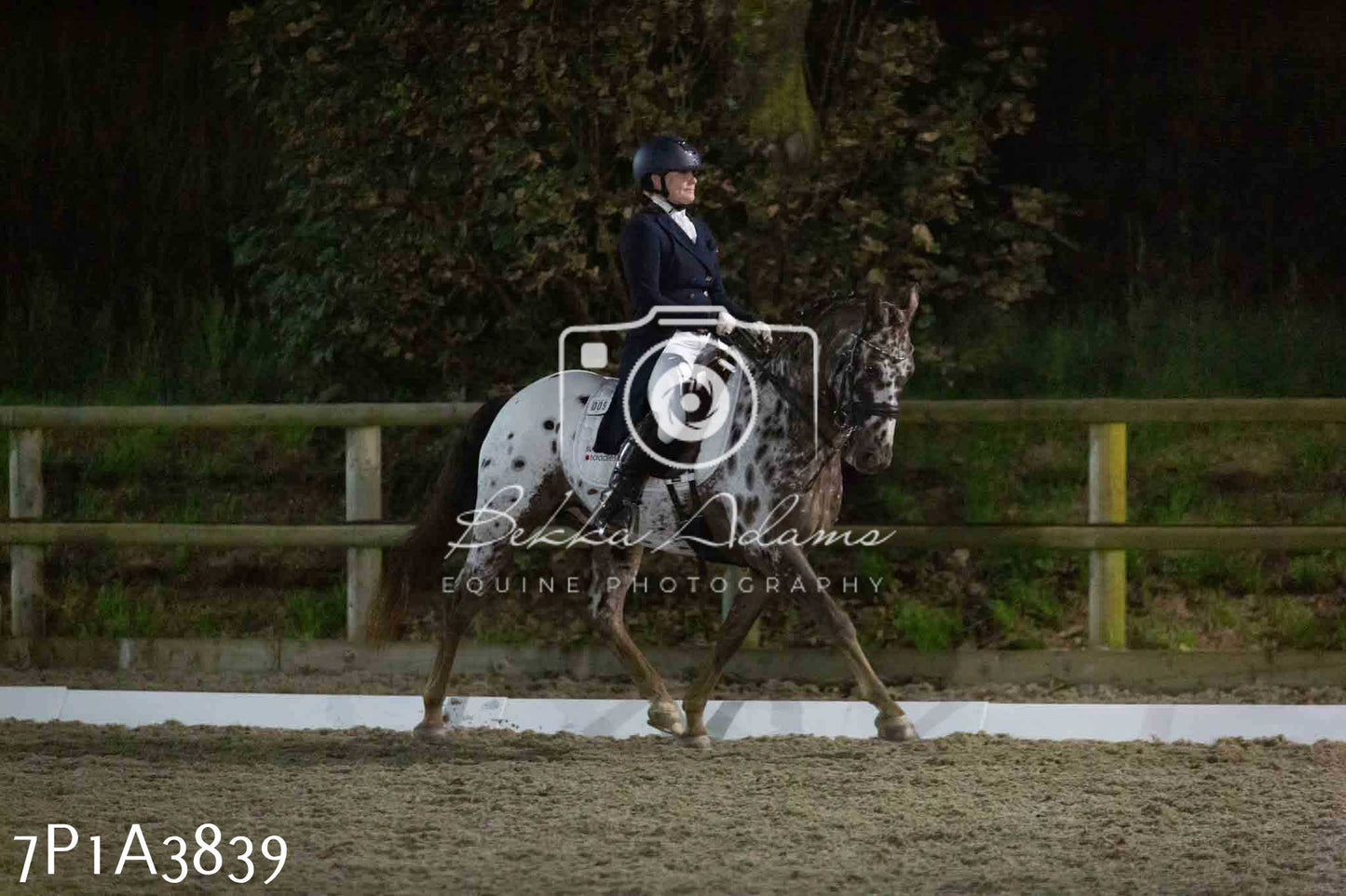 JHOYS 2023 - 8th September - Dressage