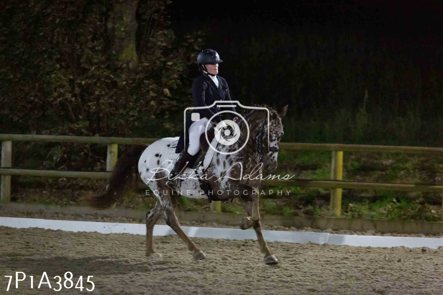 JHOYS 2023 - 8th September - Dressage