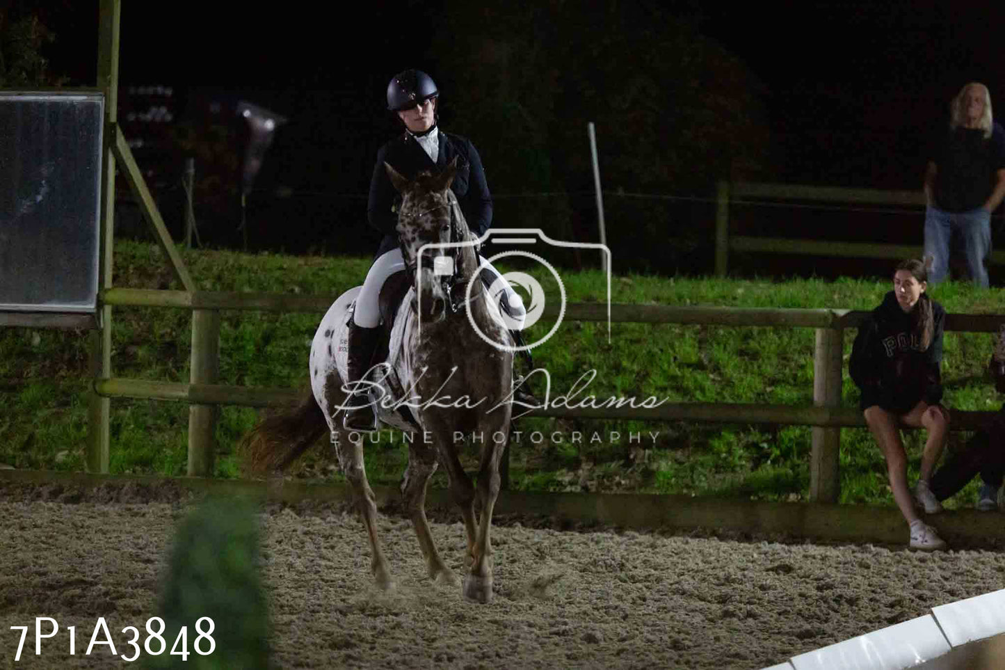 JHOYS 2023 - 8th September - Dressage