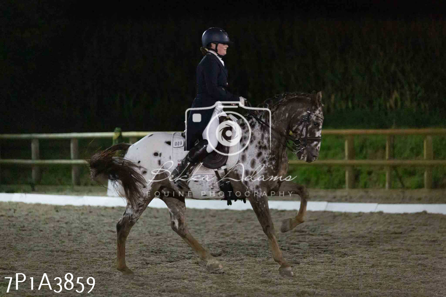 JHOYS 2023 - 8th September - Dressage