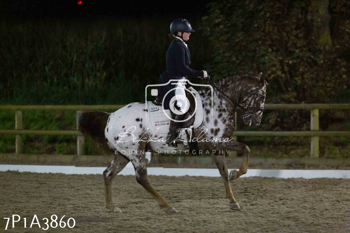 JHOYS 2023 - 8th September - Dressage