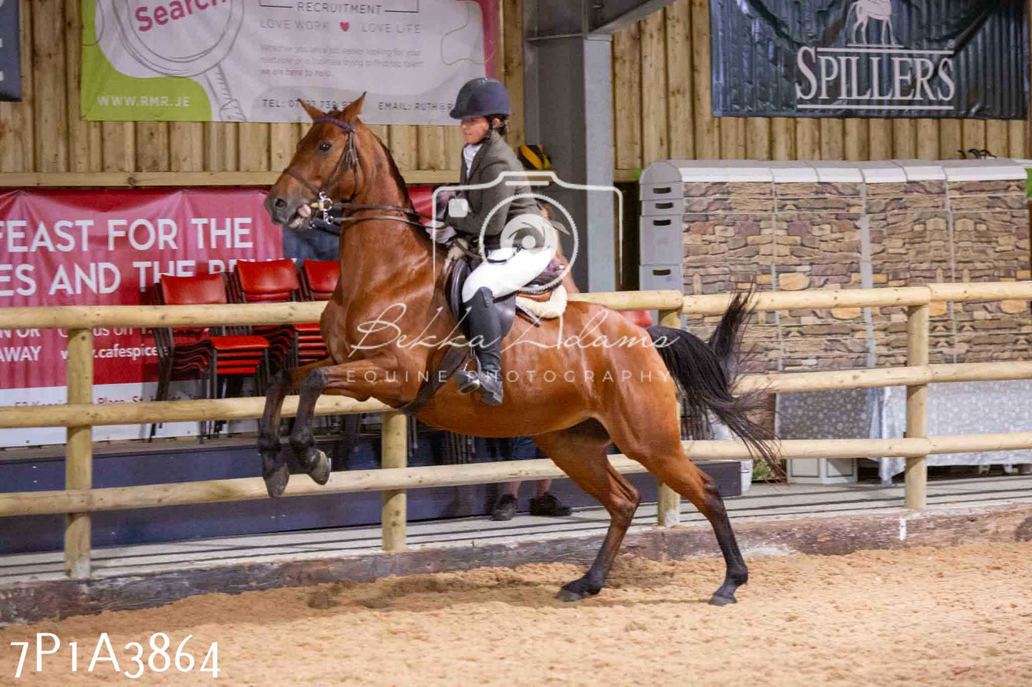 Home Farm Funshine Show 2024 - Ridden Showing 15th September pt2