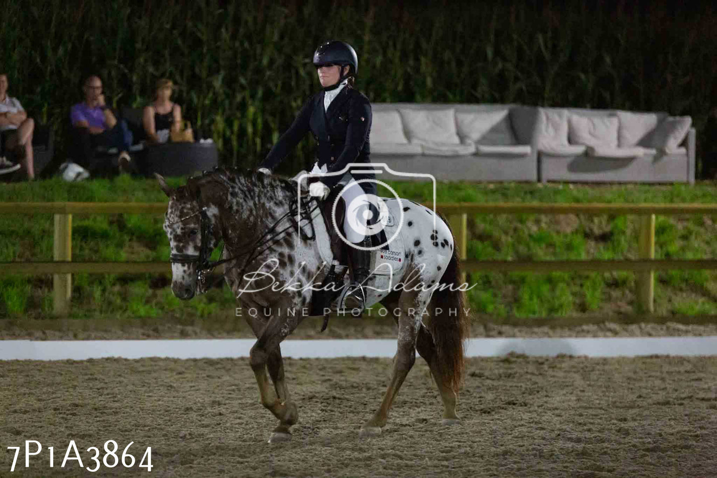 JHOYS 2023 - 8th September - Dressage