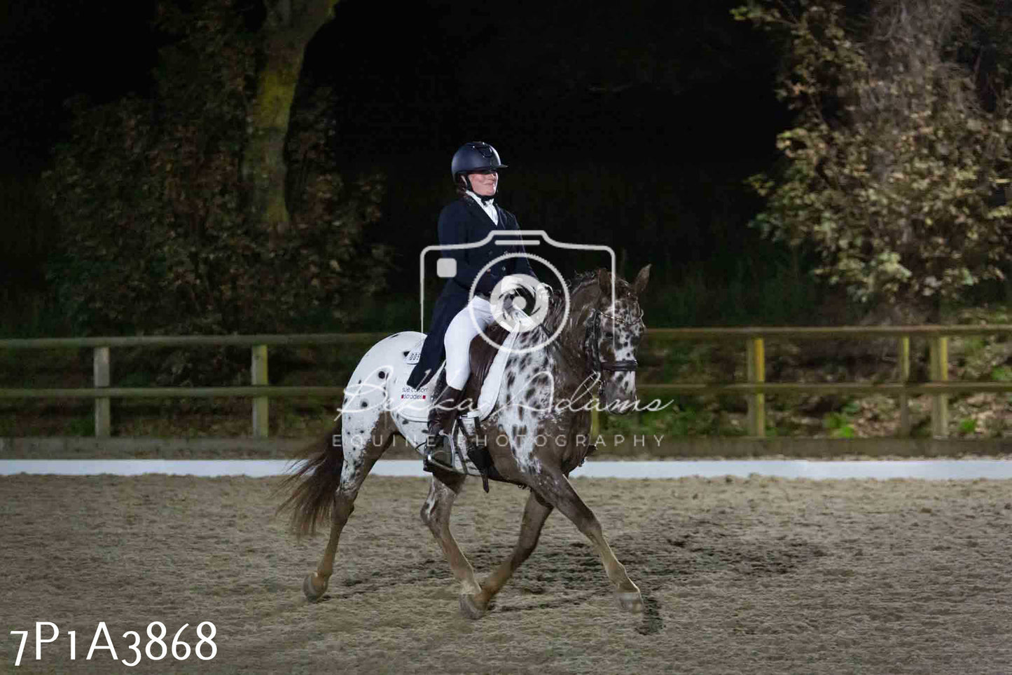 JHOYS 2023 - 8th September - Dressage