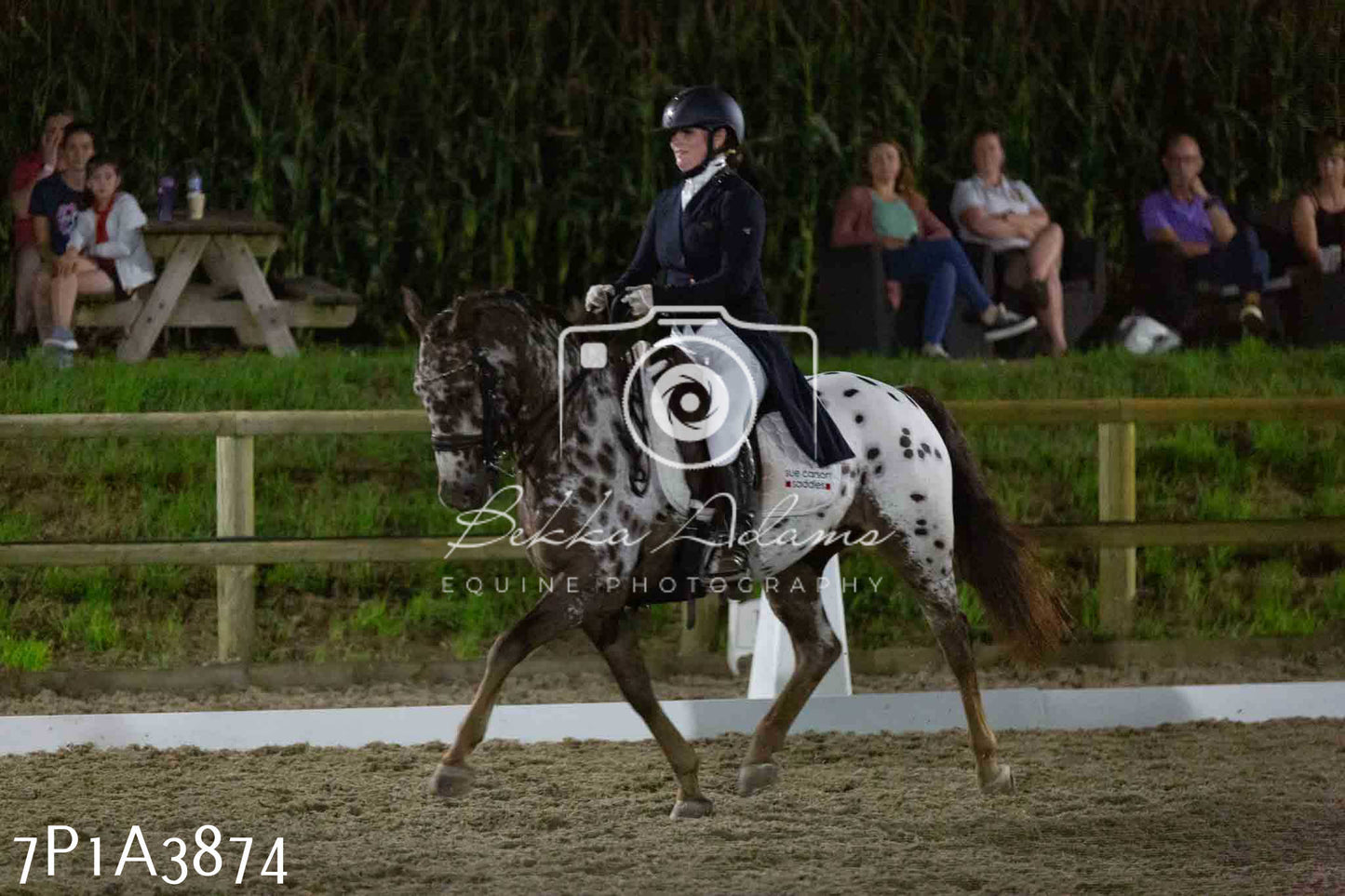 JHOYS 2023 - 8th September - Dressage