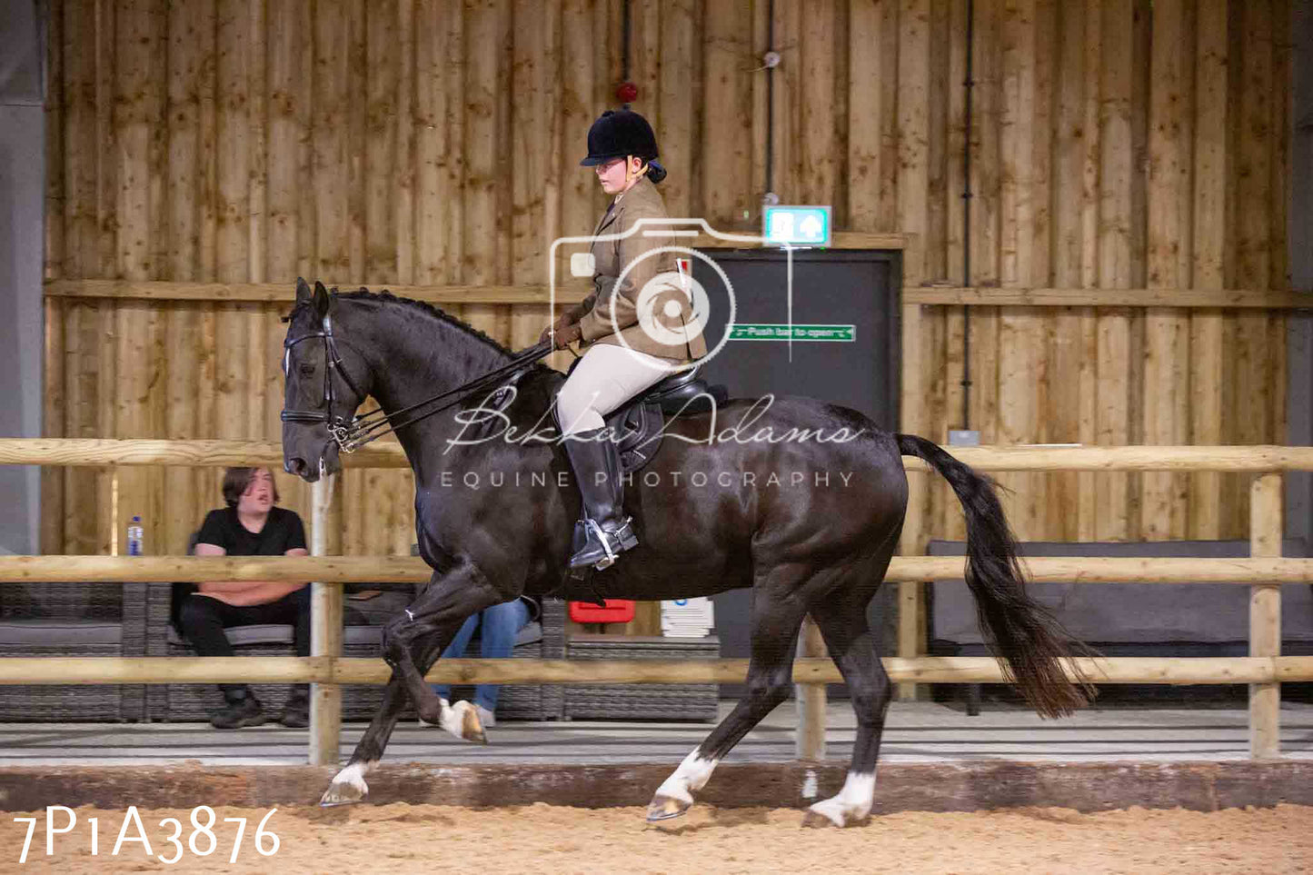 Home Farm Funshine Show 2024 - Ridden Showing 15th September pt2