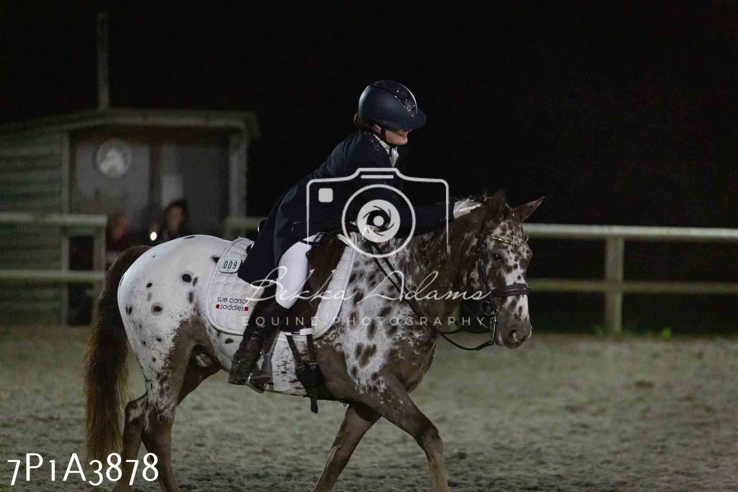 JHOYS 2023 - 8th September - Dressage