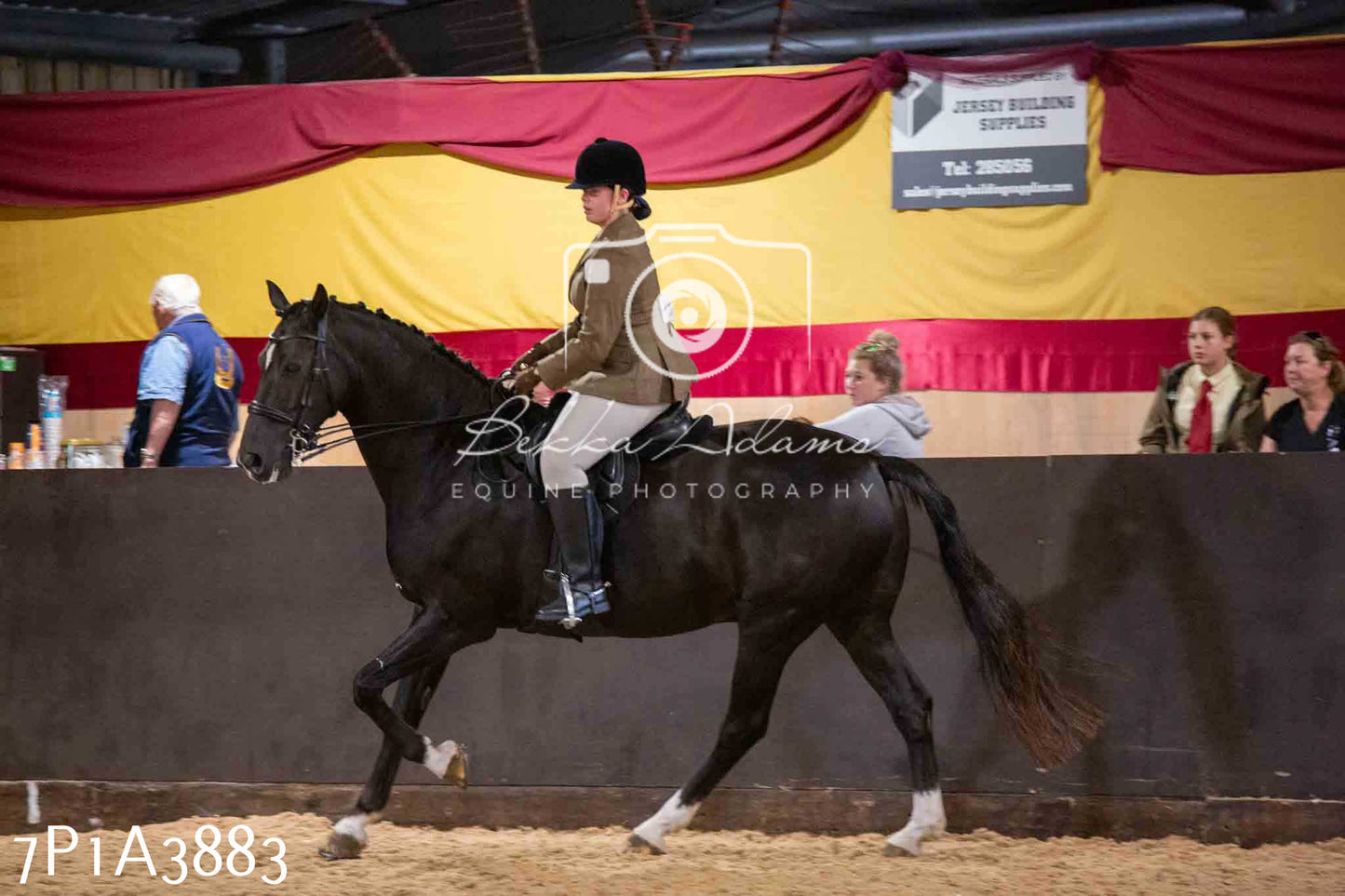 Home Farm Funshine Show 2024 - Ridden Showing 15th September pt2