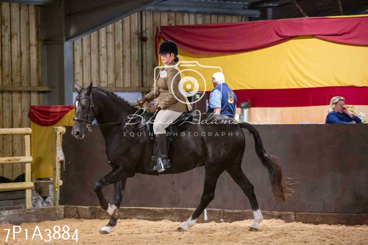 Home Farm Funshine Show 2024 - Ridden Showing 15th September pt2