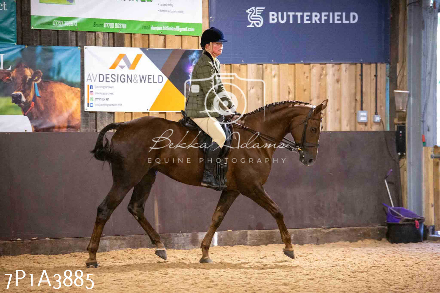 Home Farm Funshine Show 2024 - Ridden Showing 15th September pt2