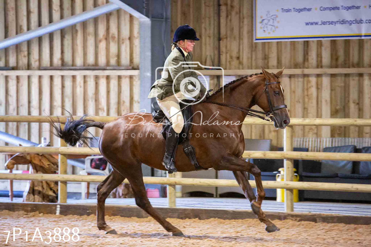 Home Farm Funshine Show 2024 - Ridden Showing 15th September pt2