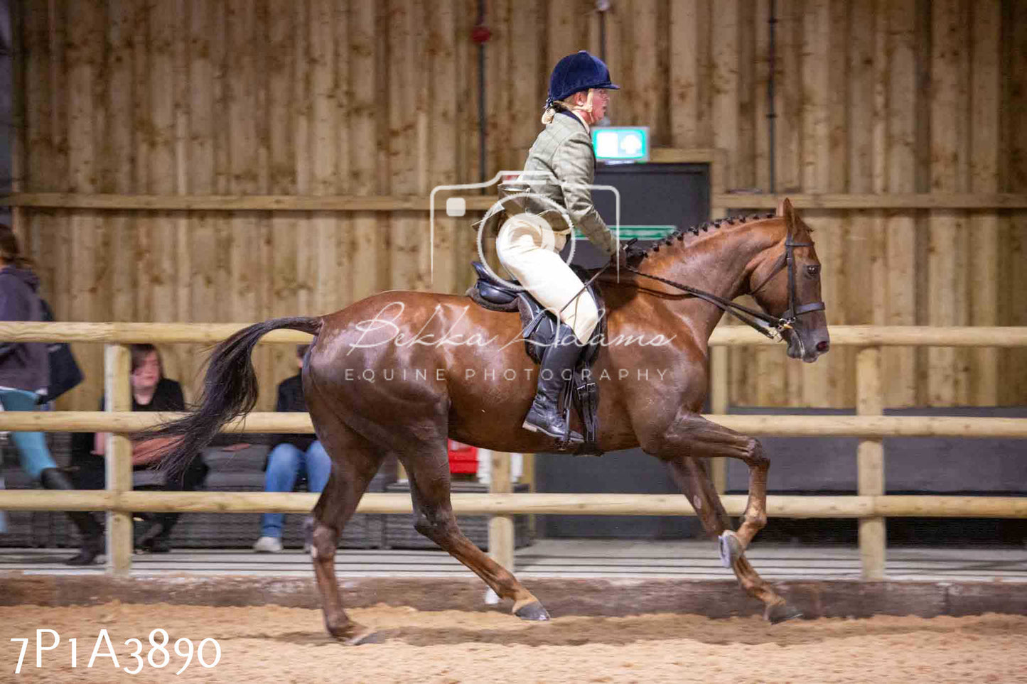 Home Farm Funshine Show 2024 - Ridden Showing 15th September pt2