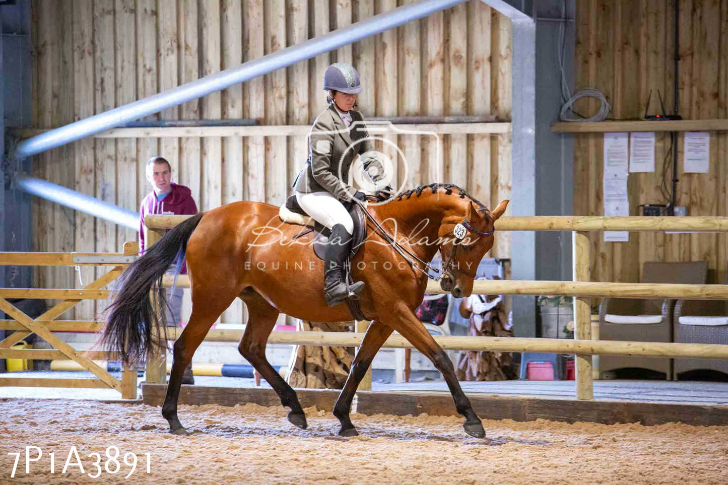 Home Farm Funshine Show 2024 - Ridden Showing 15th September pt2