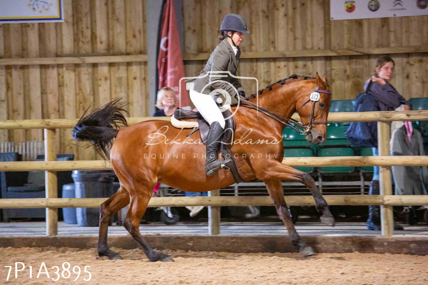 Home Farm Funshine Show 2024 - Ridden Showing 15th September pt2