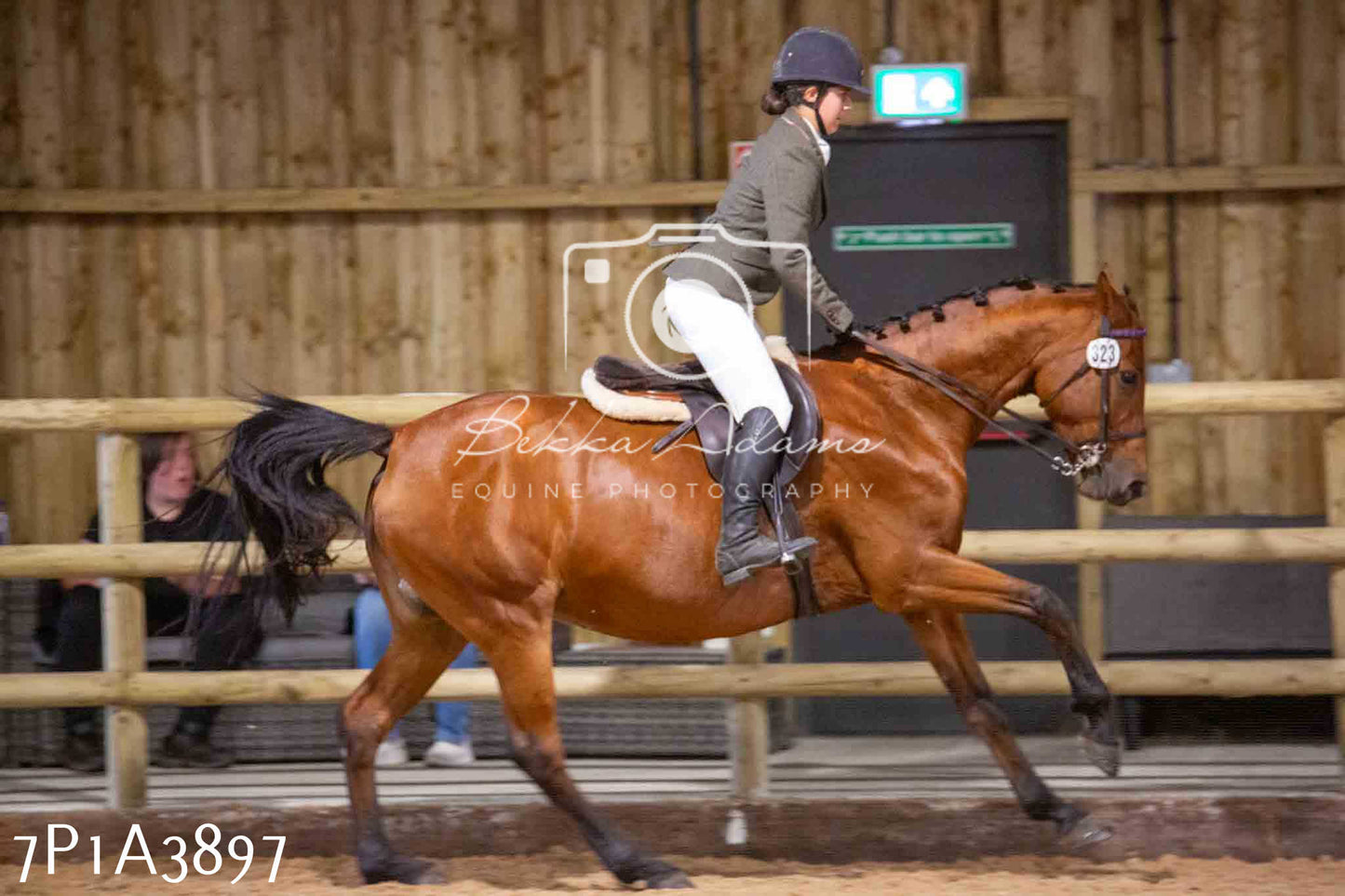Home Farm Funshine Show 2024 - Ridden Showing 15th September pt2