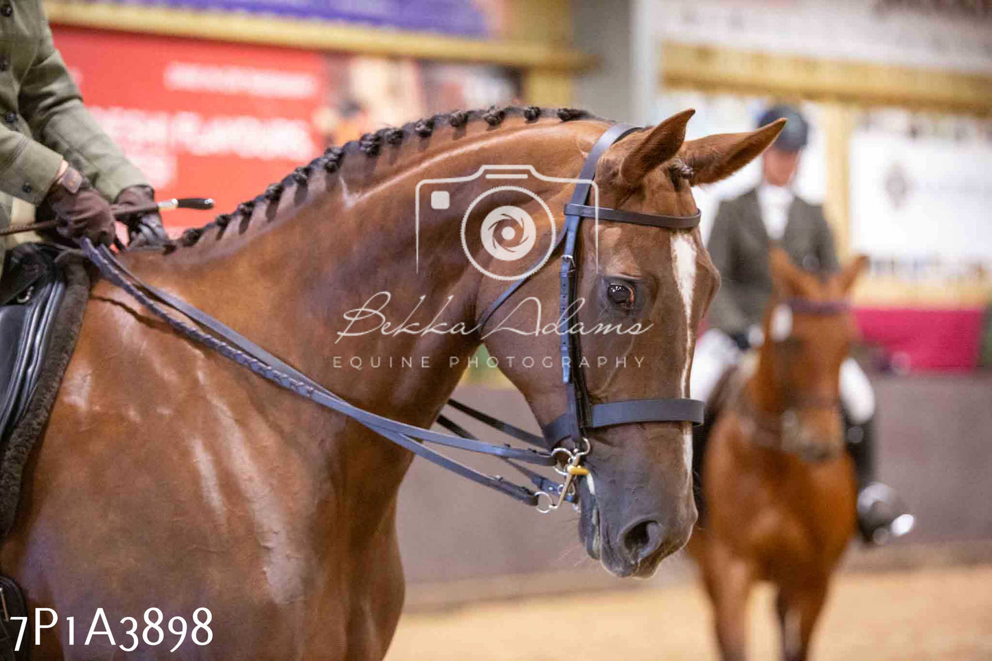 Home Farm Funshine Show 2024 - Ridden Showing 15th September pt2