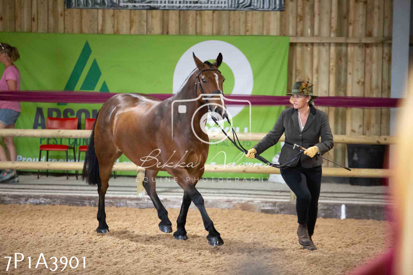 JHOYS 2023 - 9th September - Inhand Showing Pt 1