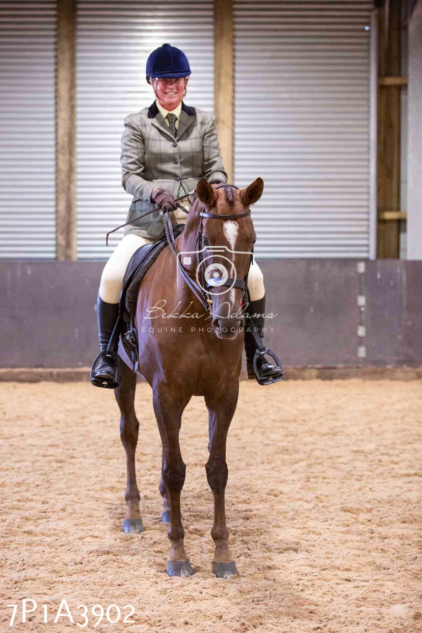 Home Farm Funshine Show 2024 - Ridden Showing 15th September pt2