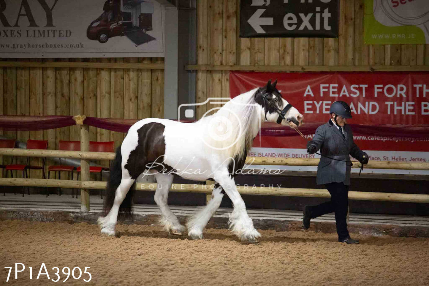 JHOYS 2023 - 9th September - Inhand Showing Pt 1