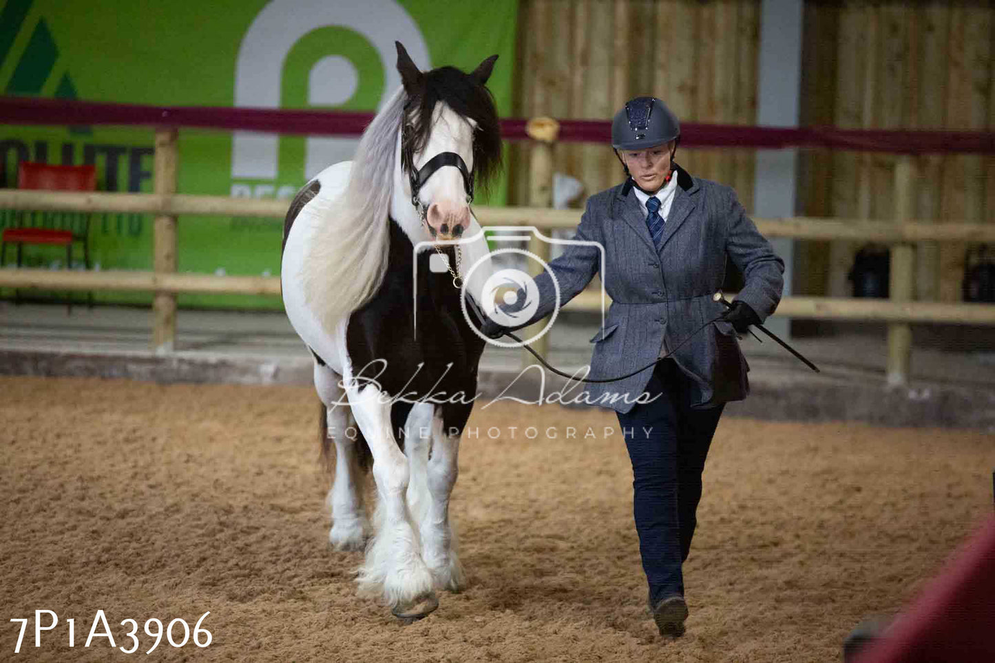 JHOYS 2023 - 9th September - Inhand Showing Pt 1