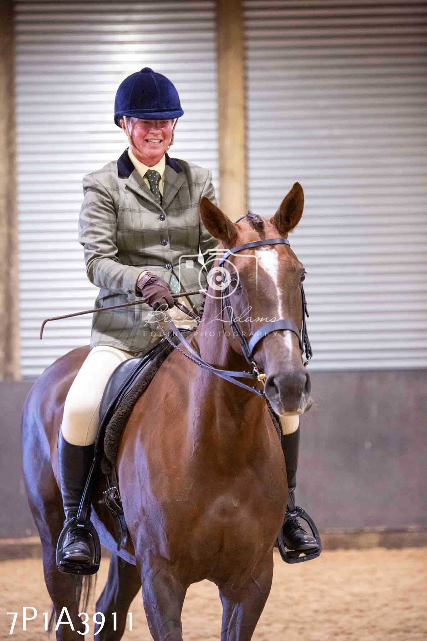 Home Farm Funshine Show 2024 - Ridden Showing 15th September pt2