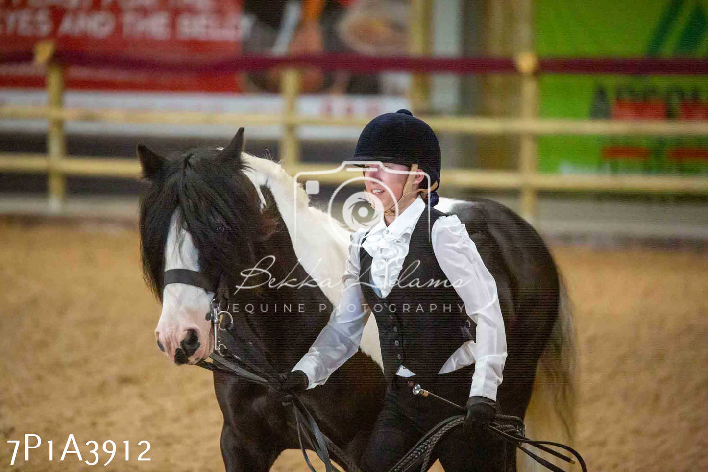 JHOYS 2023 - 9th September - Inhand Showing Pt 1
